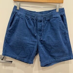 Latin Blue corduroy Textured Shorts